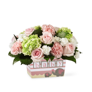 Darling Baby Girl New Baby in Culpeper, VA | ENDLESS CREATIONS FLOWERS AND GIFTS Darling Baby Girl New Baby in Culpeper, VA | ENDLESS CREATIONS FLOWERS AND GIFTS