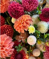 Darling Dahlias Seasonal Florals