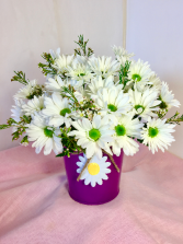 Darling Daisies Twine -Tied Pot