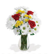Dash Of Daisy Vase Arrangement