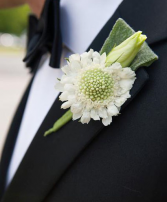 Dashing Daisy Boutonniere