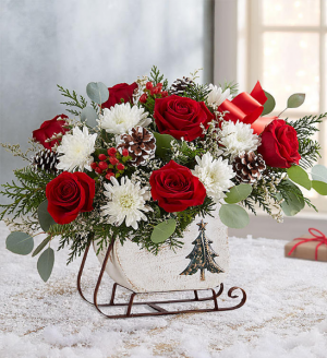 Dashing Through the Snow-Now $49.99 Holiday Special SALE!!! Was $59.99 in Sunrise, FL | FLORIST24HRS.COM Dashing Through the Snow-Now $49.99 Holiday Special SALE!!! Was $59.99 in Sunrise, FL | FLORIST24HRS.COM