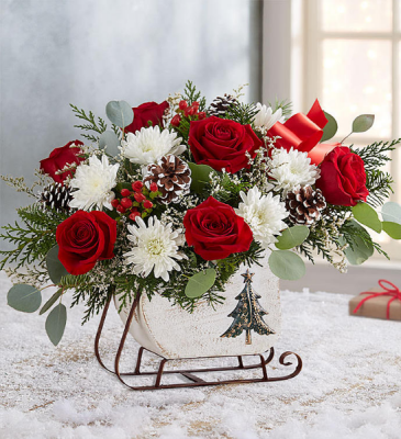 Dashing Through the Snow Holiday Special SALE!!! $59.99 in Sunrise, FL | FLORIST24HRS.COM