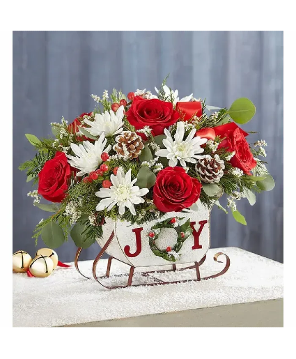 DASHING THROUGH THE SNOW  