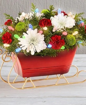 Dashing Through the Snow  Christmas