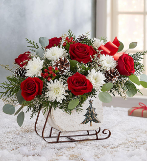 Dashing Through the Snow In Reusable Wooden Sleigh in Gainesville, FL | PRANGE'S FLORIST Dashing Through the Snow In Reusable Wooden Sleigh in Gainesville, FL | PRANGE'S FLORIST