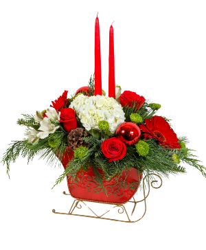 Dashing Through the Snow LIMITED QUANTITIES! ORDER YOURS TODAY! AVAILABLE BEGINNING DEC 17TH