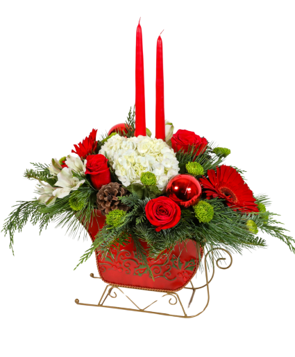 Dashing Through the Snow LIMITED QUANTITIES! ORDER YOURS TODAY! AVAILABLE BEGINNING DEC 17TH