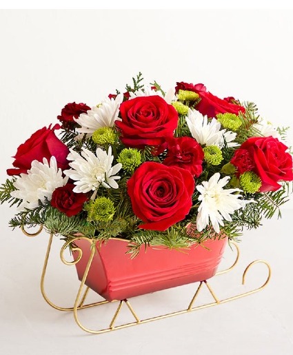 Dashing Through the Snow Sleigh 