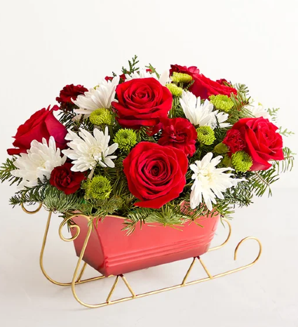 Dashing Through the Snow Sleigh 