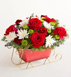 Dashing Through the Snow Sleigh 