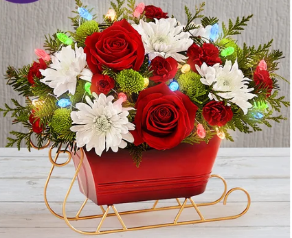 DASHING THROUGH THE SNOW SLEIGH Fresh