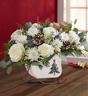 Dashing Through the Snow, White In Keepsake Sled in Gainesville, FL | PRANGE'S FLORIST Dashing Through the Snow, White In Keepsake Sled in Gainesville, FL | PRANGE'S FLORIST