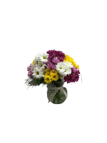 Daisies Galore Special $10.00 off in Culpeper, VA | ENDLESS CREATIONS FLOWERS AND GIFTS