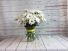 Daisies Galore Special $10.00 off