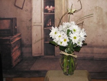 Daisy Delight  in Stevensville, MT | WildWind Floral Design Studio