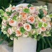 David's Roses Pre- order Item Next Day Delivery