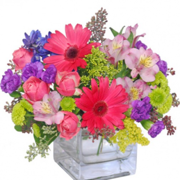 Dawn's Delight Arrangement
