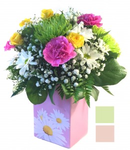 Dazzle with Daisies by Fendley Fresh Flowers in container