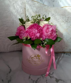 Dazzling Peonies in Delray Beach, FL | Greensical Flowers Gifts & Decor Dazzling Peonies in Delray Beach, FL | Greensical Flowers Gifts & Decor