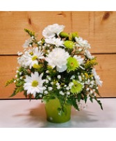 Dazzling pot ( color May varies  Fresh flowers 
