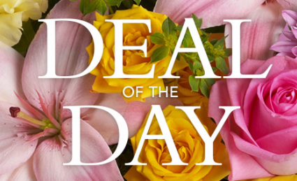  Deal of the Day       Designers Choice