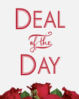 Deal of the Day Custom Arrangement in Boonsboro, MD | Mountainside Florist