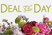 Deal Of the Day
