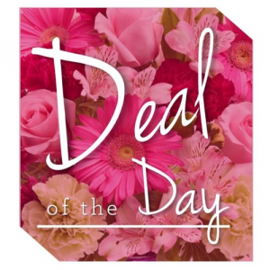 Deal of the day! 