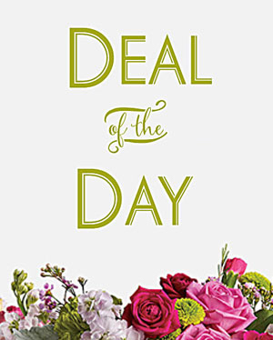 DEAL OF THE DAY  in Massillon, OH | CUMMINGS FLORIST