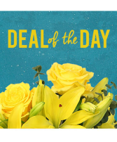 Deal of the Day Designer's Choice Bouquet 