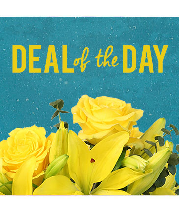 Deal of the Day Designer's Choice Bouquet  in Toronto, ON | PERCY WATERS FLORIST