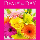 Deal of The Day Any Flowers Any Design