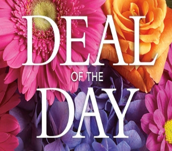 Deal of the Day Arrangement