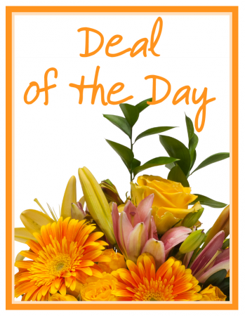 Deal of the Day Arrangement
