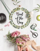 Deal of the Day Arrangement