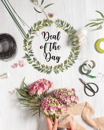 Deal of the Day Arrangement in Kannapolis, NC | MIDWAY FLORIST OF KANNAPOLIS