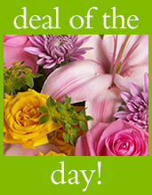 Deal of the Day Designers Choice Bouquet