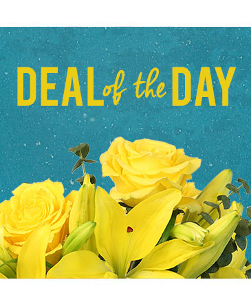 Deal of the Day Designer's Choice in Glastonbury, CT | THE FLOWER DISTRICT