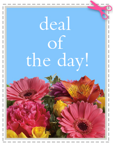 Deal of the Day Designer's Choice in Morgantown, KY - FIVE SEASONS FLOWERS  & GIFTS