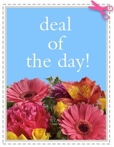 Deal of the Day Custom - Designer's Choice in Spotsylvania, VA | Walker's Flowers & More Deal of the Day Custom - Designer's Choice in Spotsylvania, VA | Walker's Flowers & More