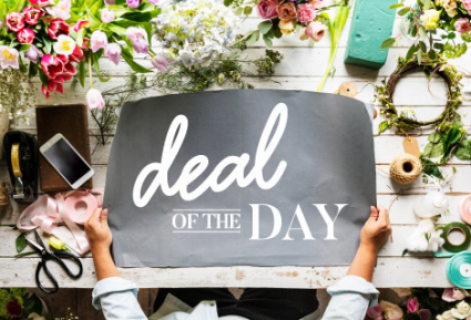 Deal of the Day Small - Medium Designer's Choice