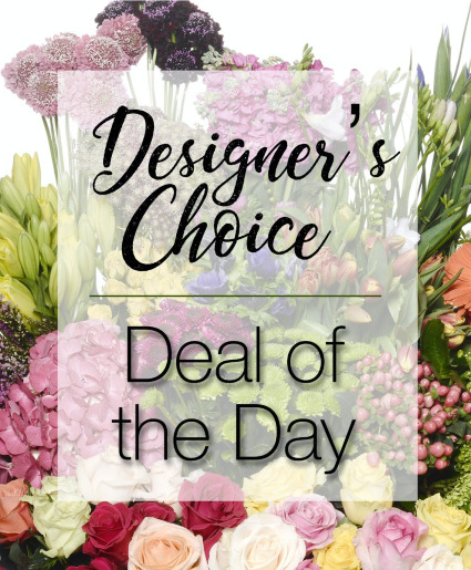 Deal of the Day Designers Choice