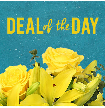 Deal of the Day Designer's Choice in Toronto, ON | PERCY WATERS FLORIST