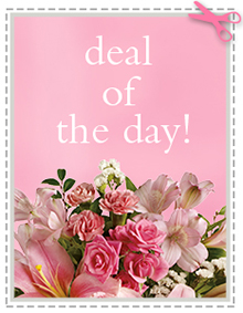 Deal of the Day Designers Choice Fresh and beautiful product of the day in San Dimas, CA | O'MALLEY'S FLOWERS OF SAN DIMAS