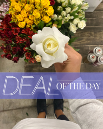 Deal of the Day Flower Arrangement