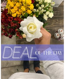 Deal of the Day Flower Arrangement