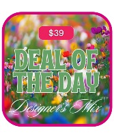 Deal of the Day Flower Arrangement