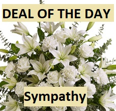 Deal of the Day Sympathy