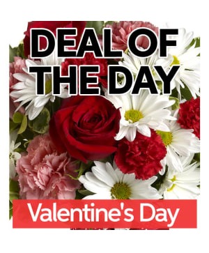 Deal Of The Day Valentine's Day 